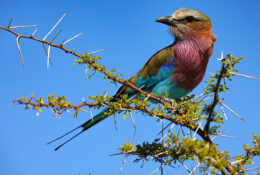 Namibia_April_2025 (70/79)